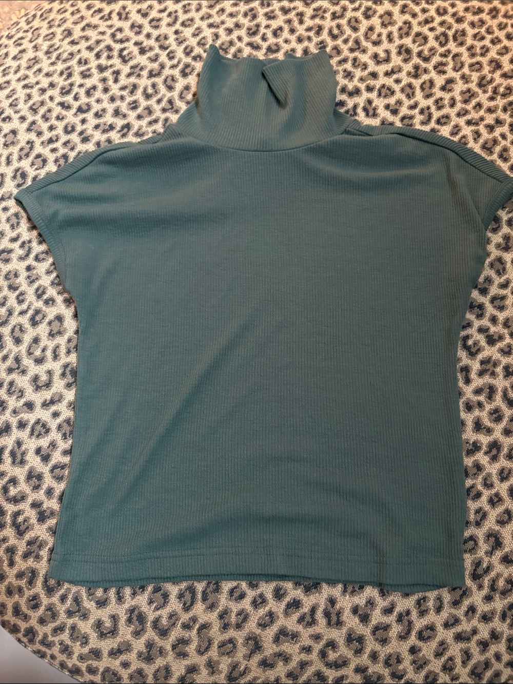 Women’s Short Sleeve Turtleneck Tee in Teal